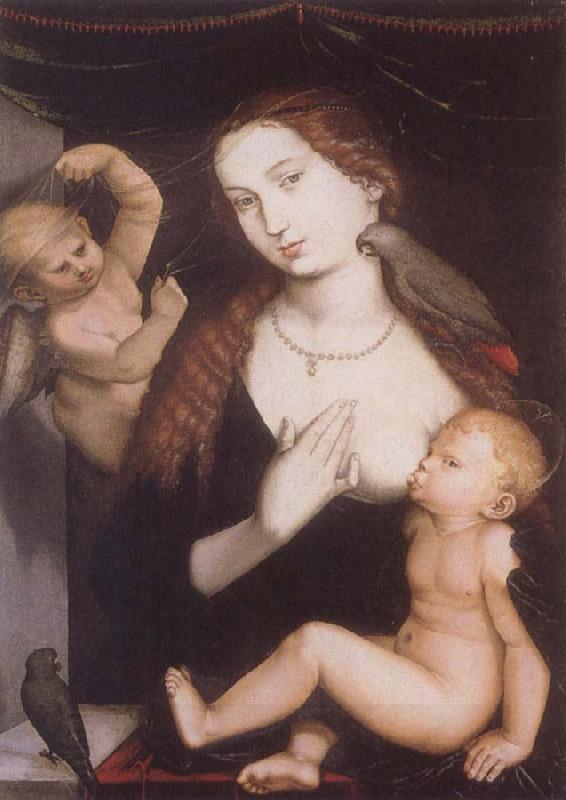 Hans Baldung Grien Virgin and Child with Parrots China oil painting art